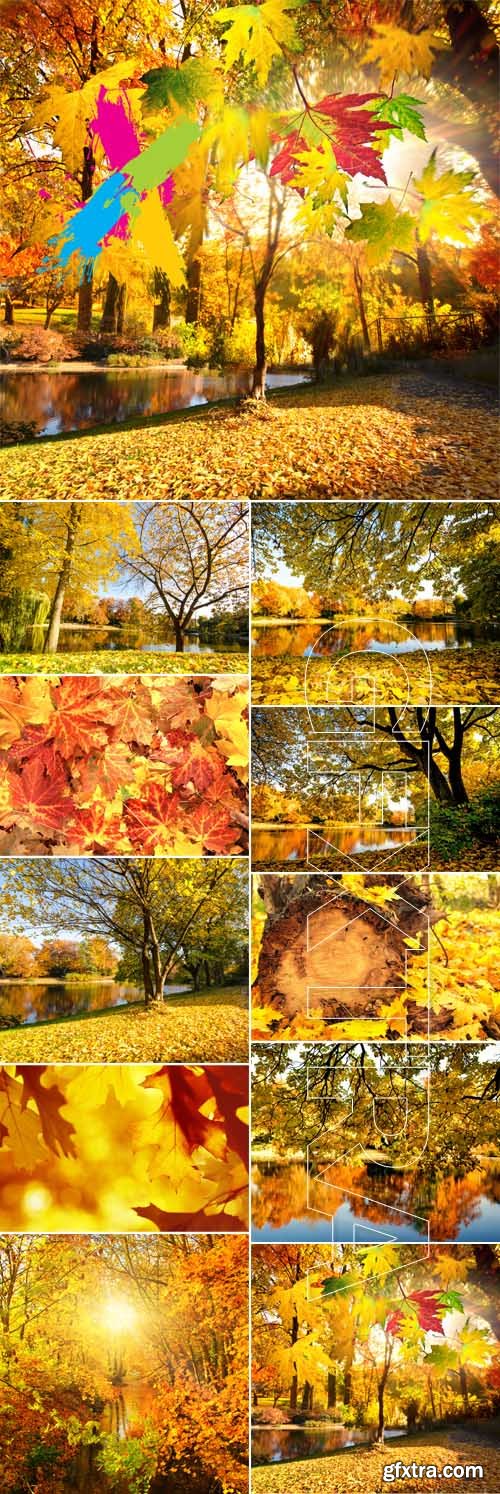Wonderful Autumn Landscape with Colorful Falling Leaves 10xJPG