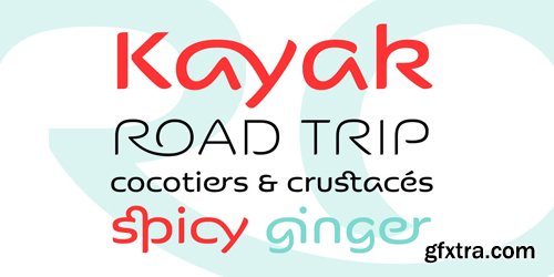 Kaili FY Font Family - 2 Fonts for $75