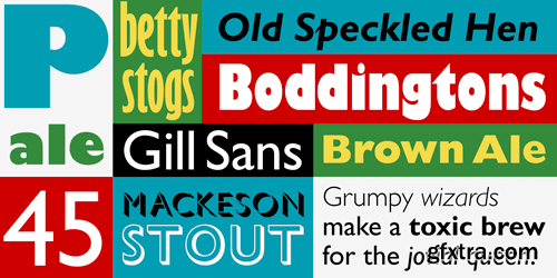 Gill Sans Font Family - 15 Fonts for $348