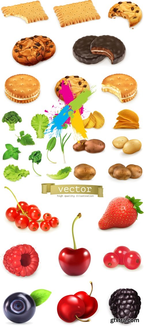 Realistic Food, Products Vector