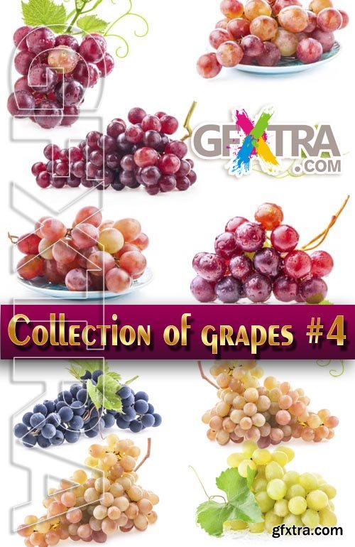 Food. Mega Collection. Grapes #4 - Stock Photo