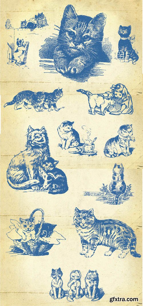 20 Hand Drawn Cats and Kittens