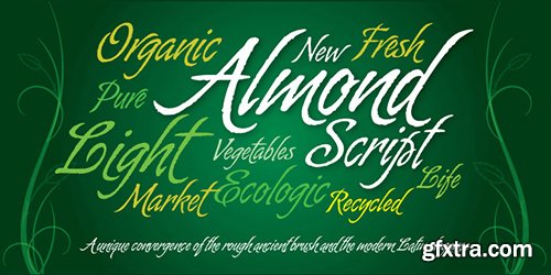 Almond Script - With Ascenders & Descenders OTF 79$