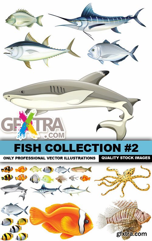 Fish Collection #2 - 25 Vector