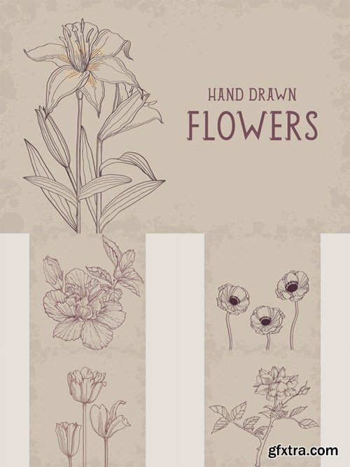 Hand Drawn Flowers Set