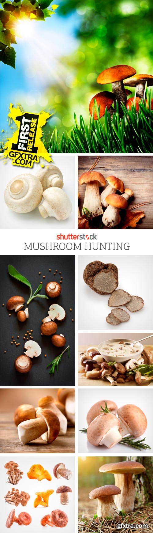 Amazing SS - Mushroom Hunting, 25xJPGs