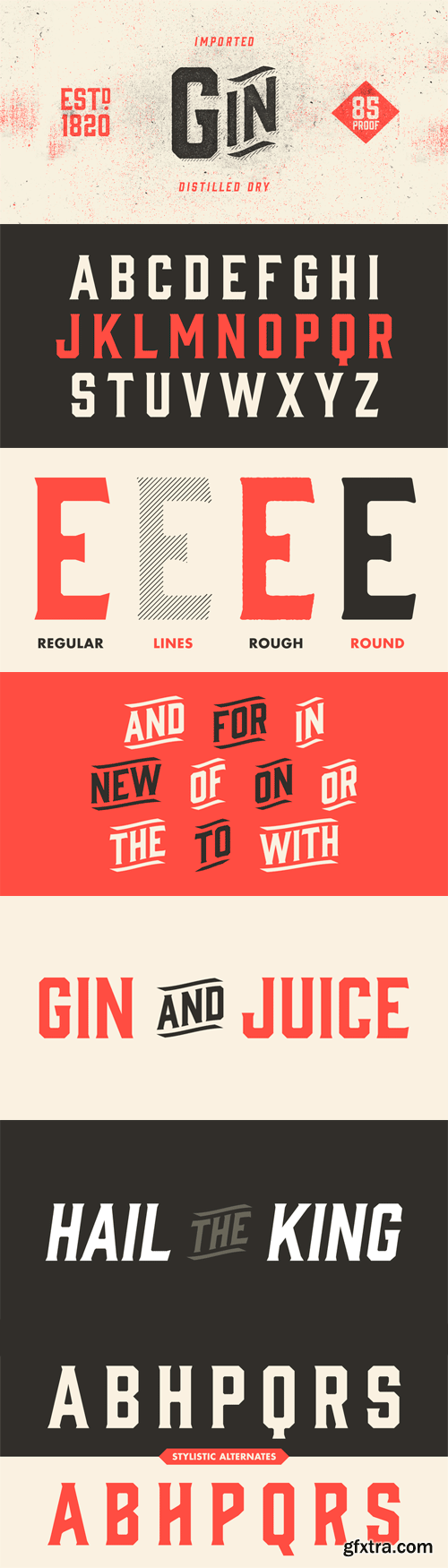 Gin Font Family - 8 Fonts for $45