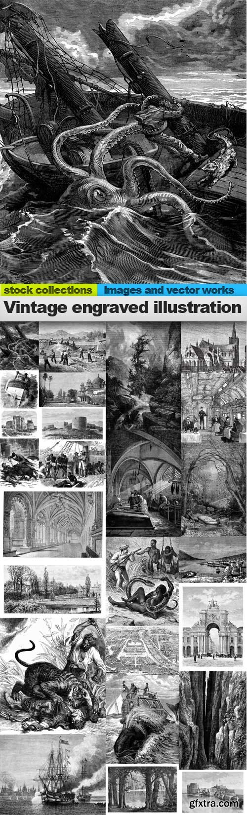 Vintage Engraved Illustration Images 25xJPG