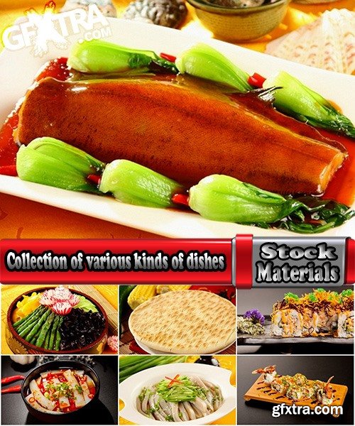 Collection of various kinds of dishes for restaurants 25 UHQ Jpeg