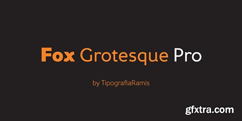 Fox Grotesque Pro Font Family 10xOTF $195