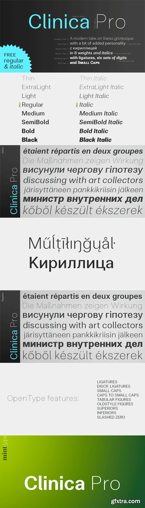 Clinica Pro Font Family - 16 Fonts for $280