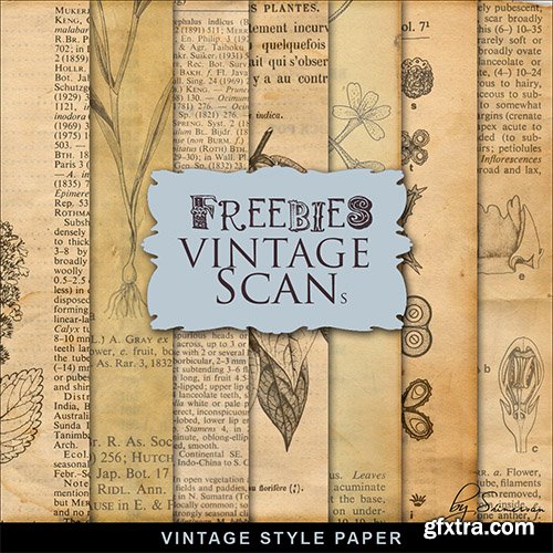 Textures - Vintage Style Papers from the Pages of a Botany Book