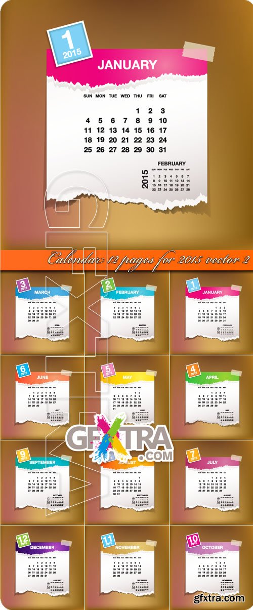 Calendar 12 pages for 2015 vector 2