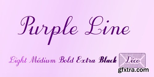 Purple Line Font Family - 6 Fonts for $49