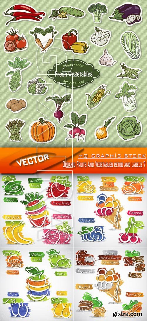 Stock Vector - Organic Fruits And Vegetables retro and labels 7