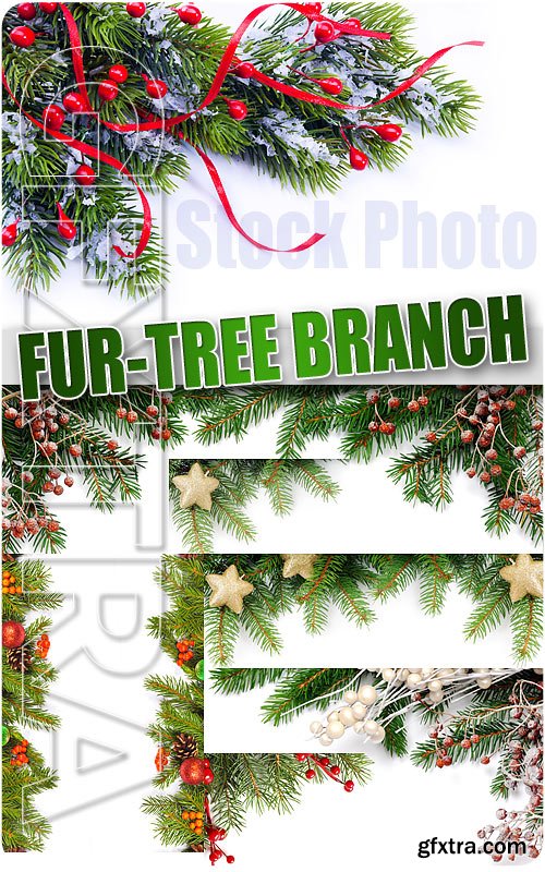Fur-tree branch - UHQ Stock Photo