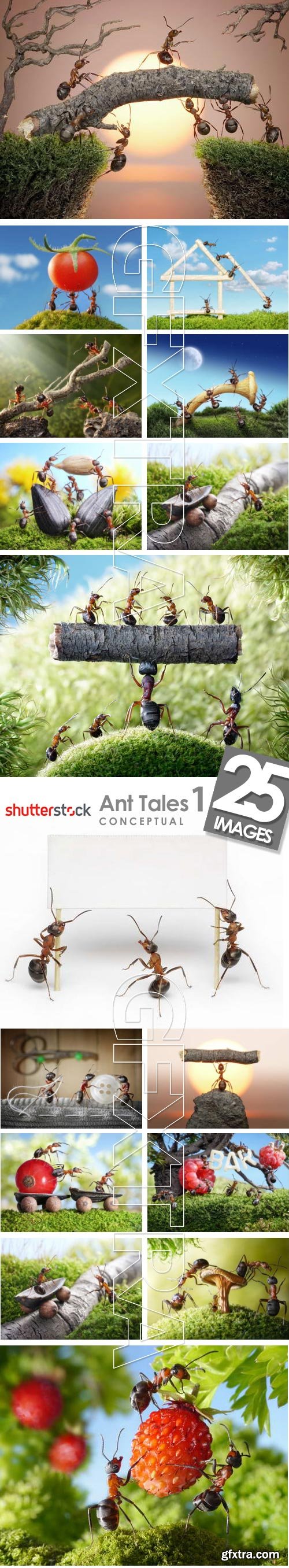 Ant Tales - Conceptual Photo Art 25xJPG
