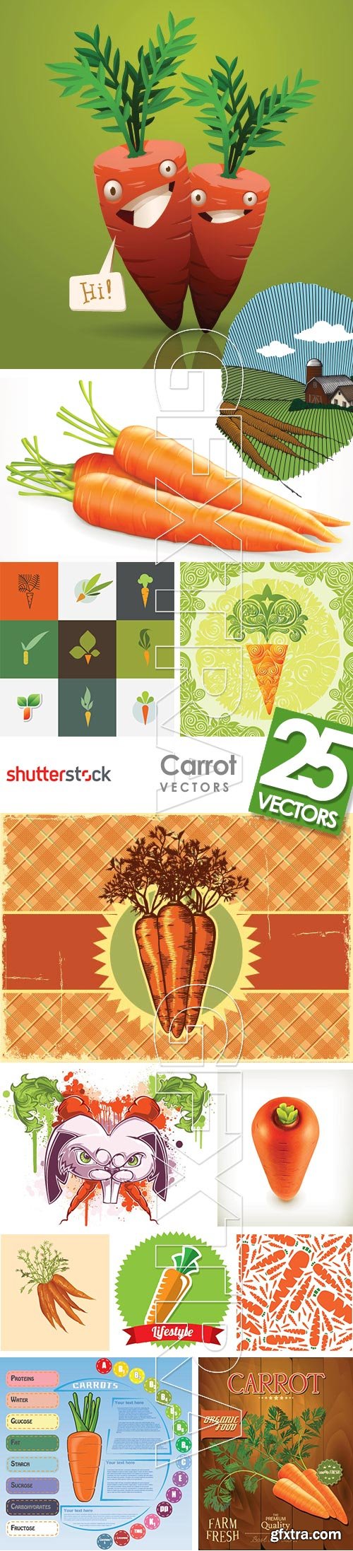 Carrot Vectors 25xEPS
