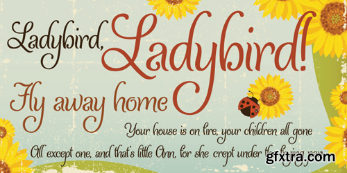 Ladybird Font for $19