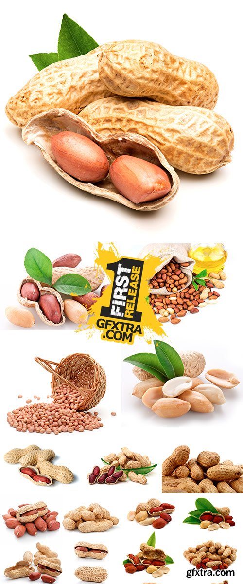 Peanut isolated, Stock Image