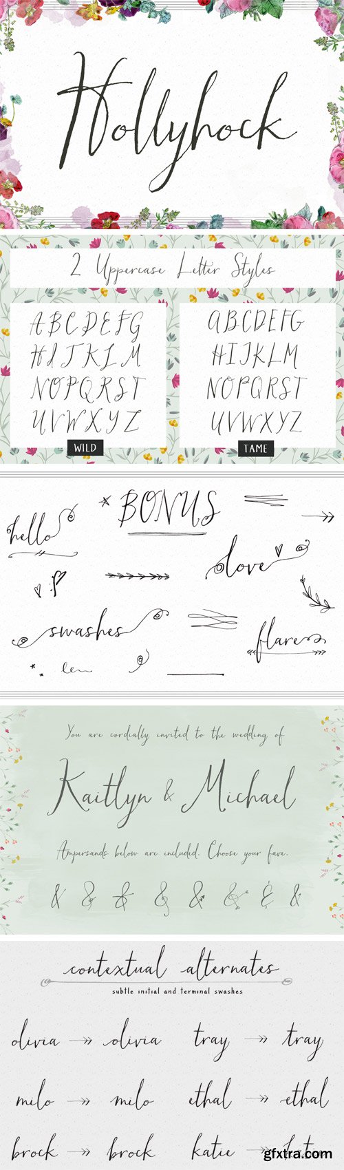 Hollyhock Font Family - 2 Fonts for $32
