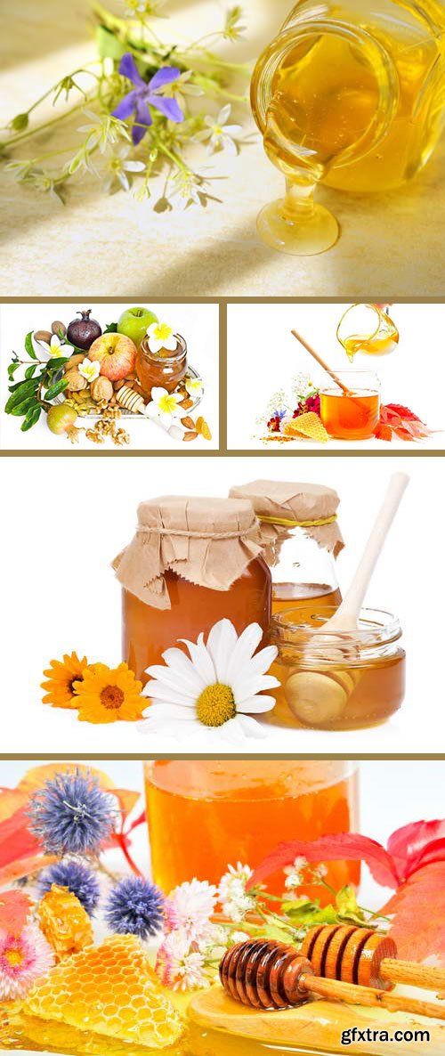 Honey with Flowers 5xJPG