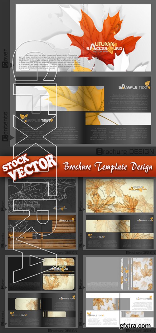Stock Vector - Brochure Template Design