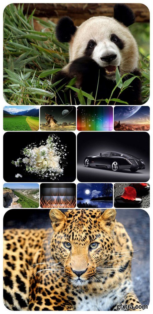 Beautiful Mixed Wallpapers Pack 295