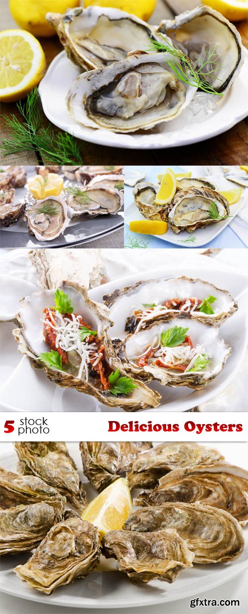 Photos - Delicious Oysters