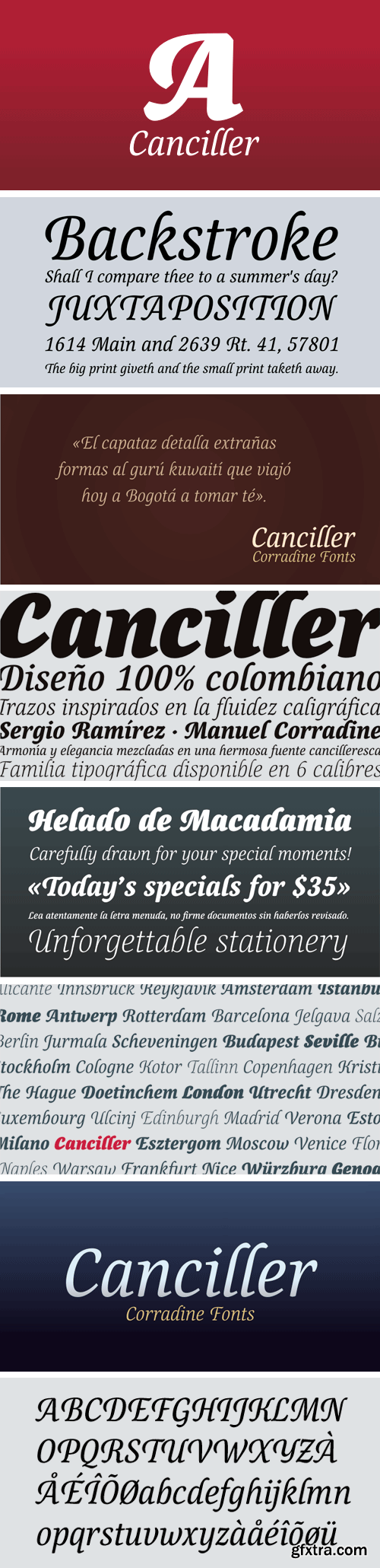 Canciller Font Family - 6 Fonts for $80