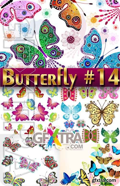Beautiful butterfly #14 - Stock Vector