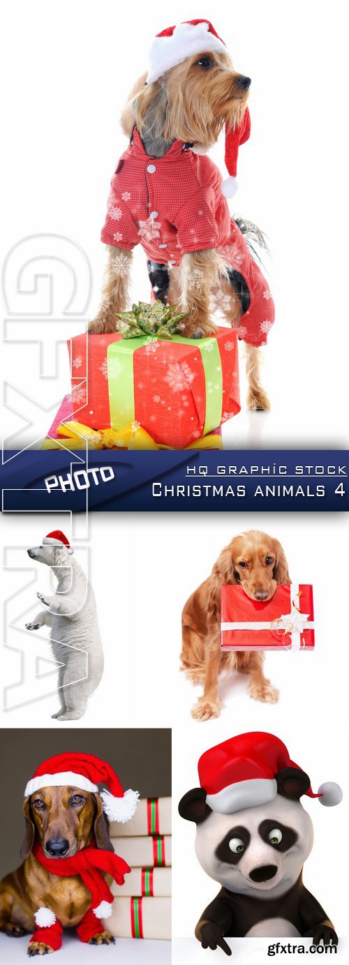 Stock Photo - Christmas animals 4