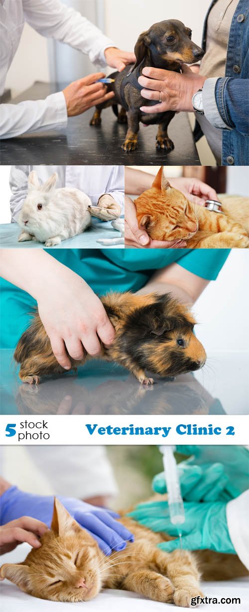 Photos - Veterinary Clinic 2