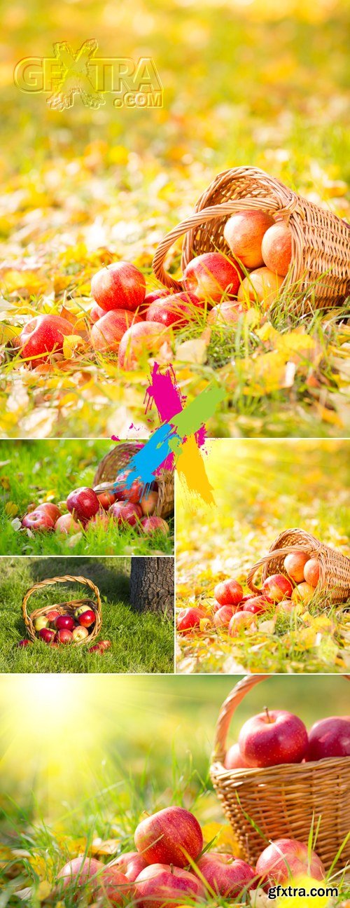 Stock Photo - Basket of Apples