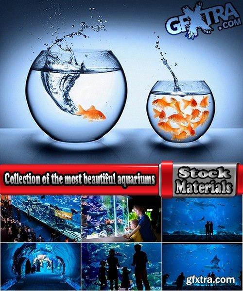 Collection of the most beautiful aquariums 25 UHQ Jpeg