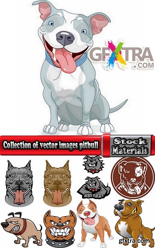 Collection of vector images pitbull 25 Eps