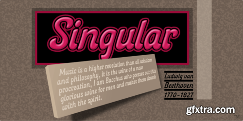 Singular Font Family $45