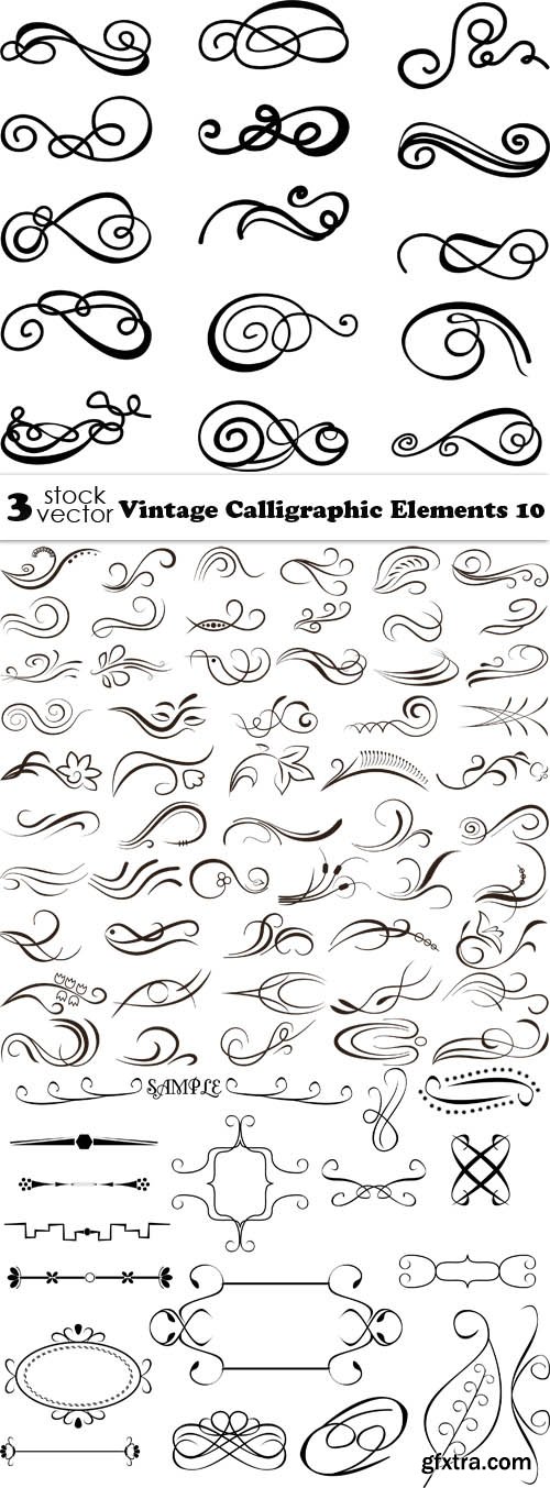 Vectors - Vintage Calligraphic Elements 10