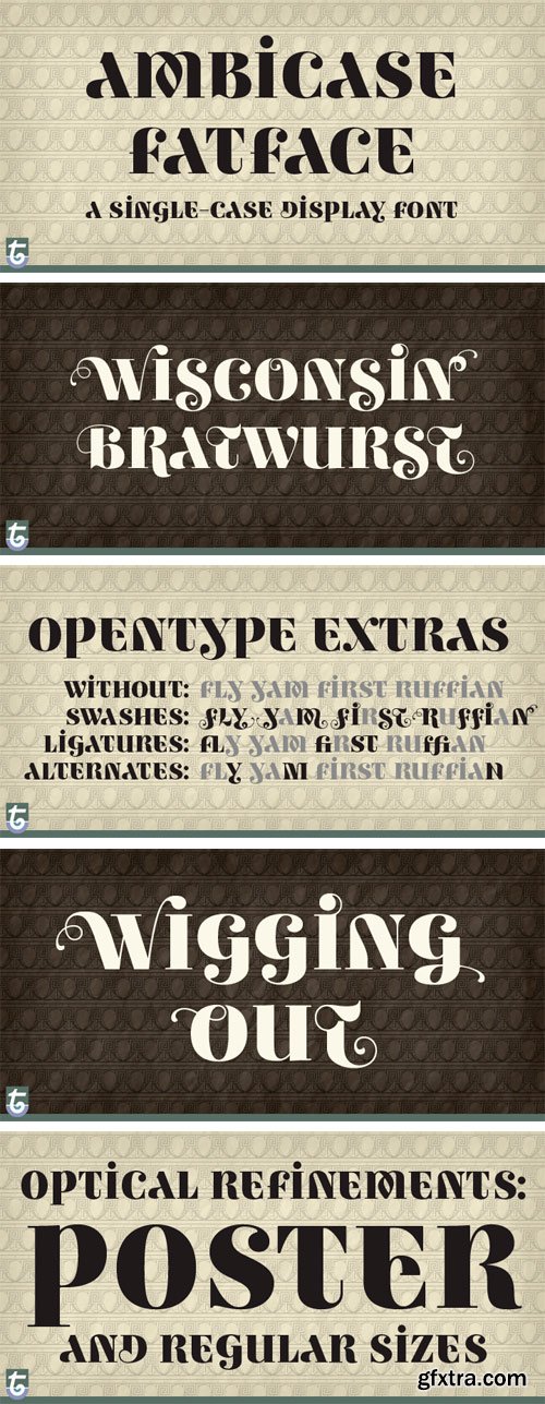 Ambicase Fatface Font Family - 2 Fonts $78