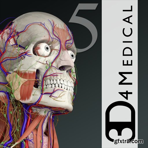 Essential Anatomy 5.0 (Mac OS X)