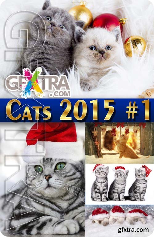 Christmas cats 2015 #1 - Stock Vector