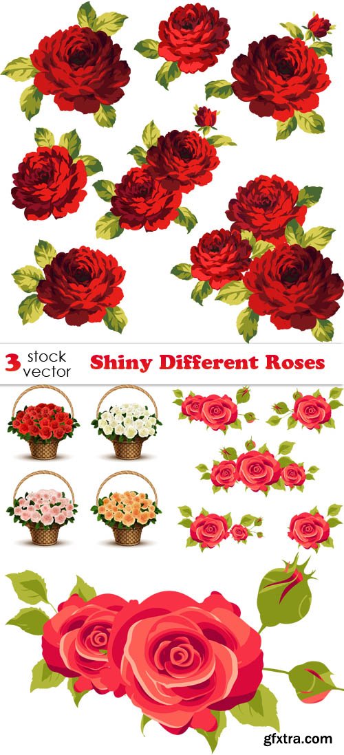 Vectors - Shiny Different Roses