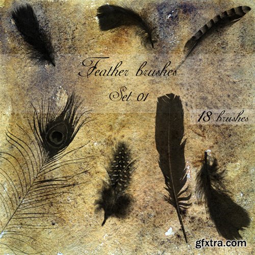 Feather Brushes Set 1