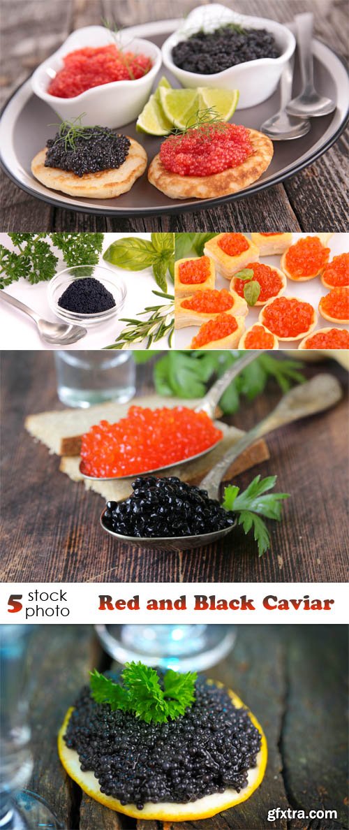 Photos - Red and Black Caviar