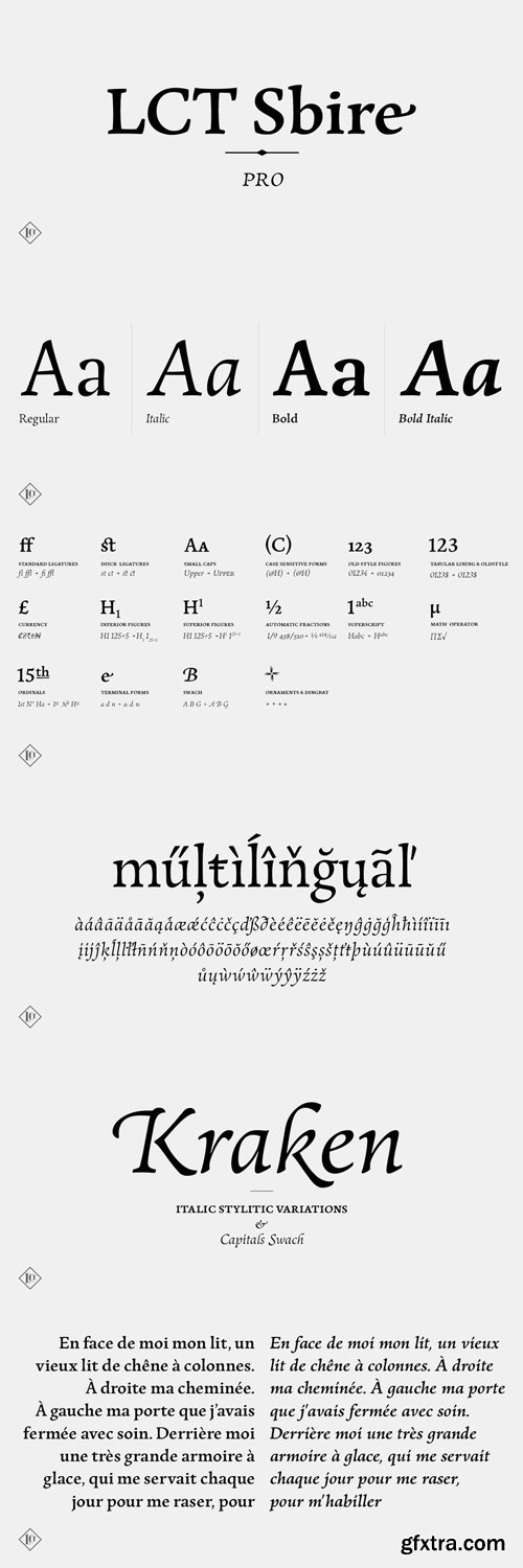 LCT Sbire Font Family $149