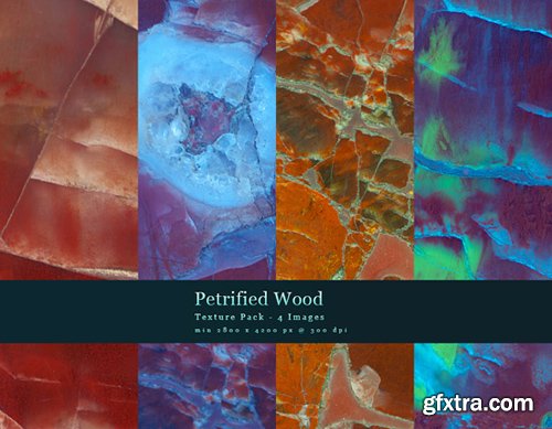 Petrified Wood - Stock Textures