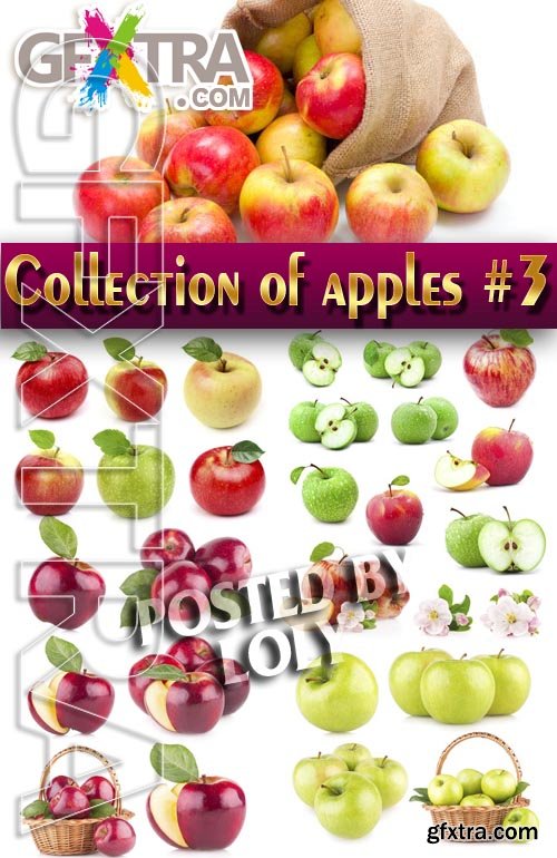 Food. Mega Collection. Apples #3 - Stock Photo