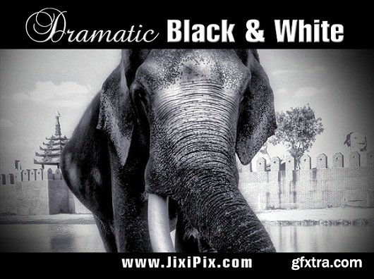 Dramatic Black & White 2.06