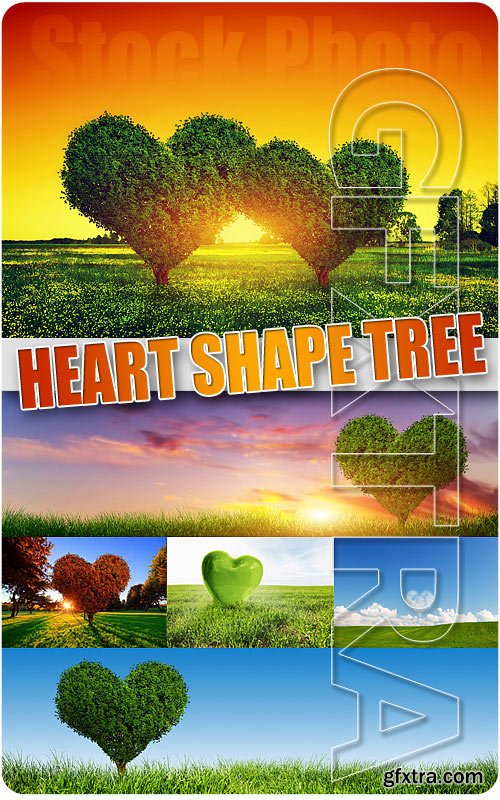 Heart shape tree - UHQ Stock Photo