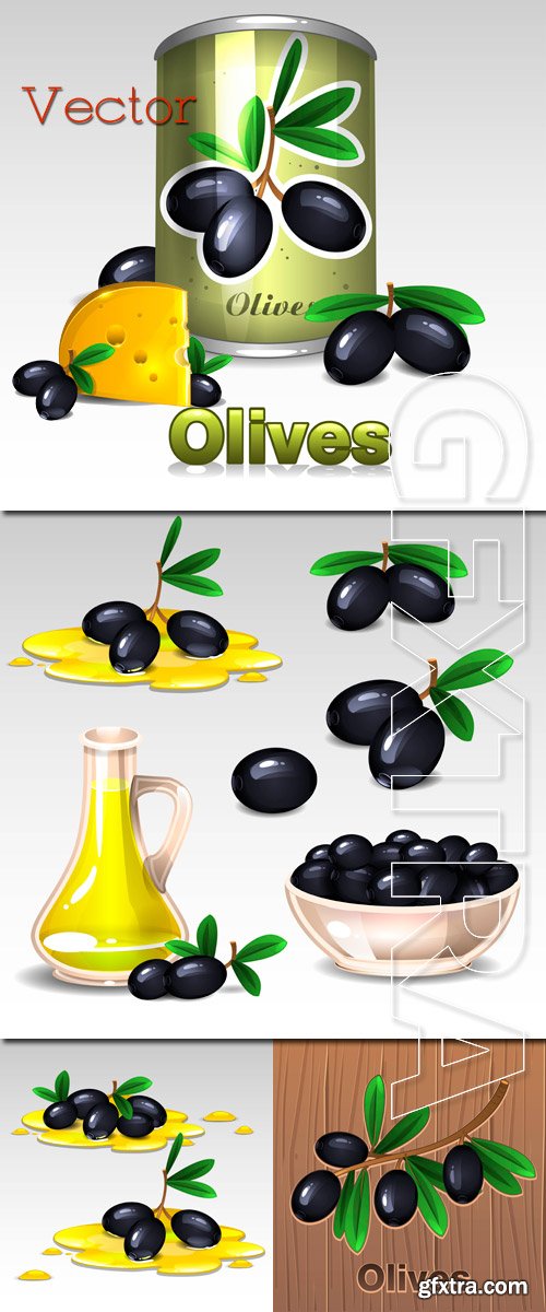 Branches of black olives in Vector